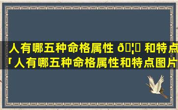 人有哪五种命格属性 🦆 和特点「人有哪五种命格属性和特点图片」